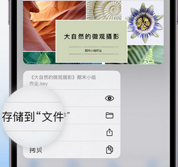 迎泽apple维修中心分享iPhone文件应用中存储和找到下载文件