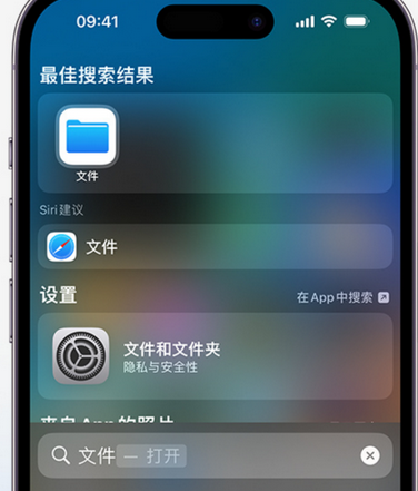 迎泽apple维修中心分享iPhone文件应用中存储和找到下载文件 