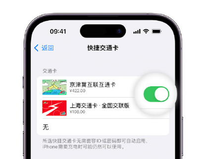 迎泽apple维修点分享iPhone上更换Apple Pay快捷交通卡手绘卡面 