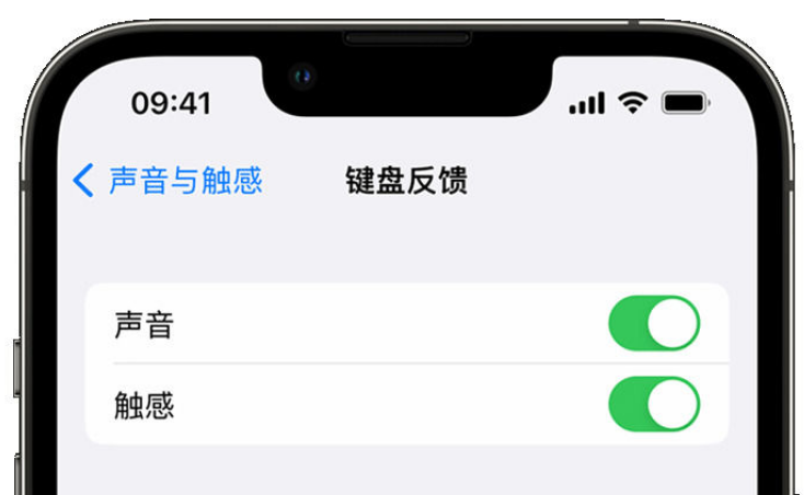 迎泽苹果手机维修分享iPhone 14触感键盘使用方法 