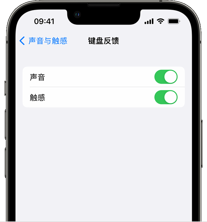 迎泽苹果14维修店分享如何在 iPhone 14 机型中使用触感键盘 