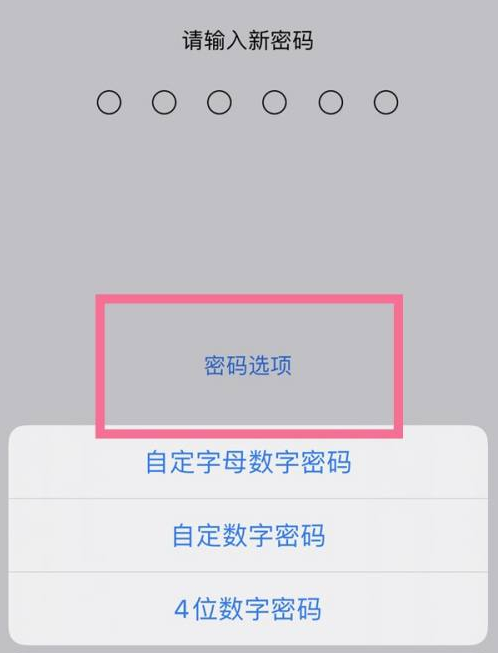 迎泽苹果14维修分享iPhone 14plus设置密码的方法 