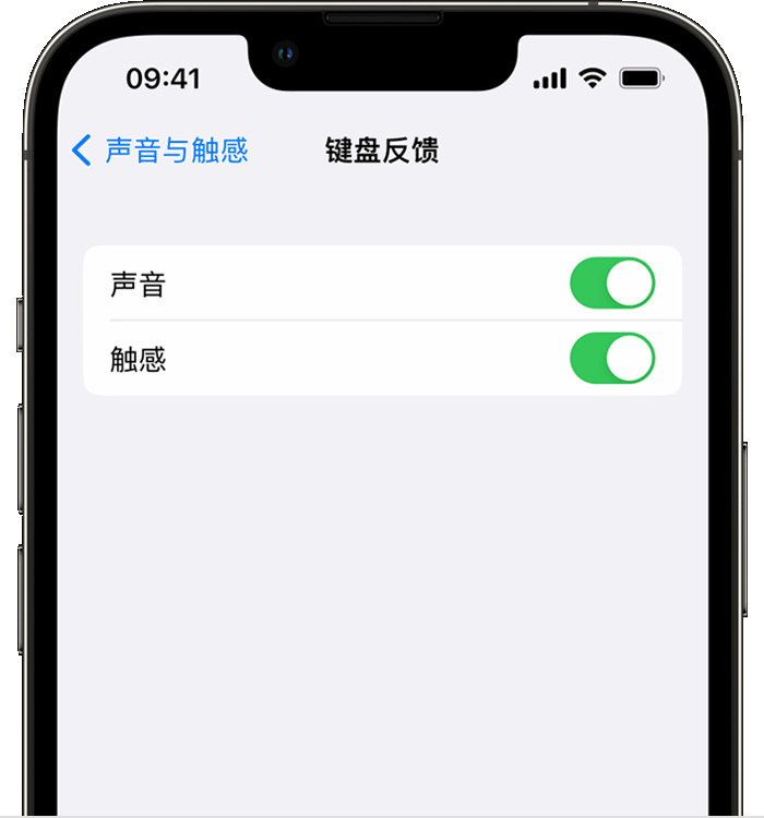 迎泽苹果14维修分享iPhone 14 系列机型如何开启键盘声音或触感反馈 