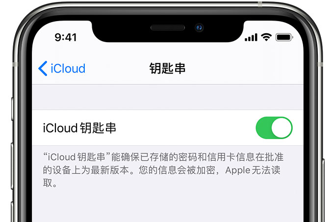 迎泽苹果手机维修分享在 iPhone 上开启 iCloud 钥匙串之后会储存哪些信息 