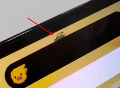迎泽苹果14维修分享iPhone 14 Pro Max灵动岛怎么养宠物 