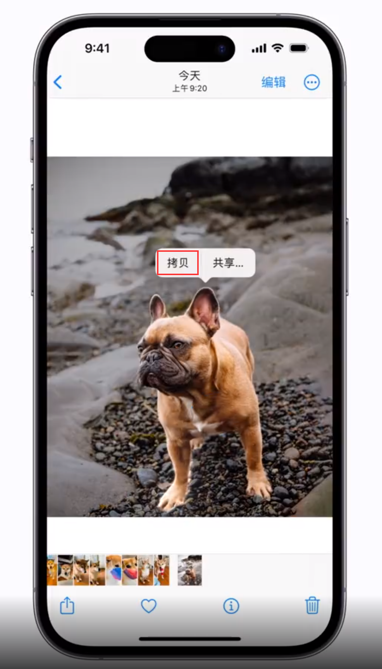 迎泽苹果手机维修分享 iOS 16 自带一键抠图功能 