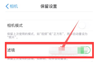 迎泽苹果13维修分享iPhone13拍照有绿点是怎么回事 