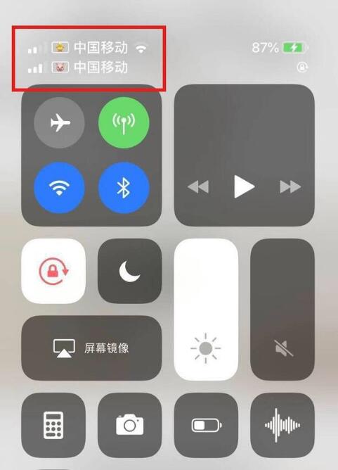 迎泽苹果手机维修分享为 iPhone 12 双卡设置标签 